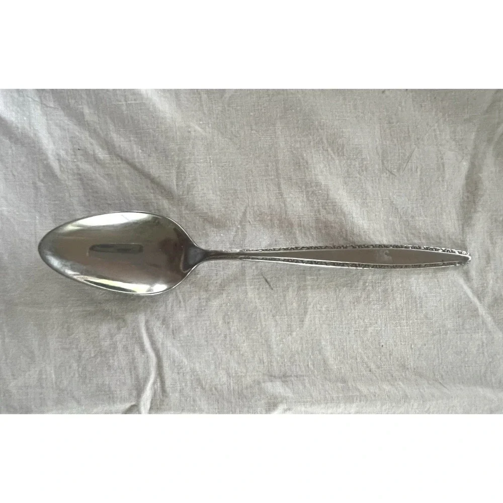 International Decorator FASCINATION Stainless Steel Spoon‎
